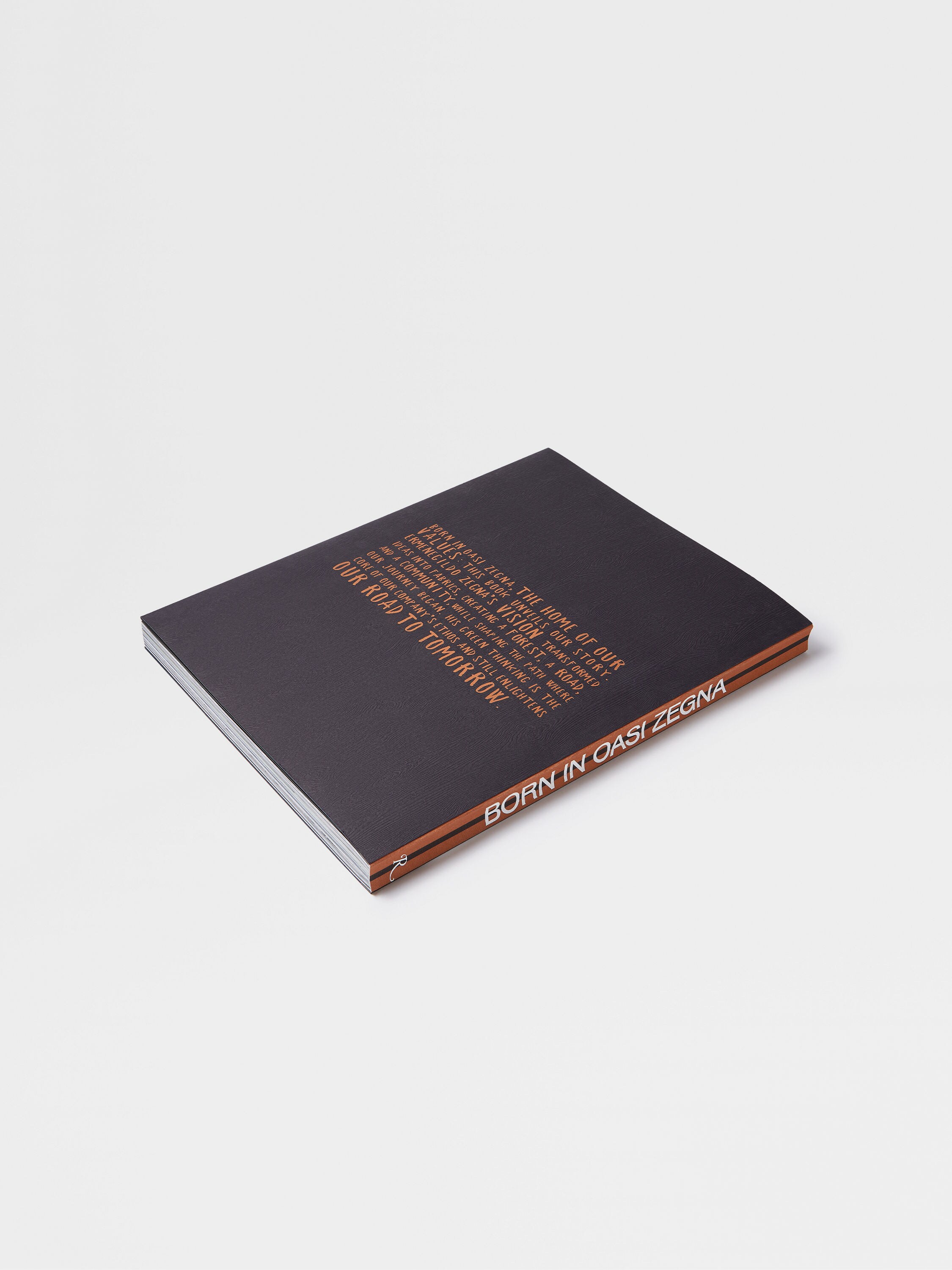 BORN IN OASI ZEGNA Product detail photo #2