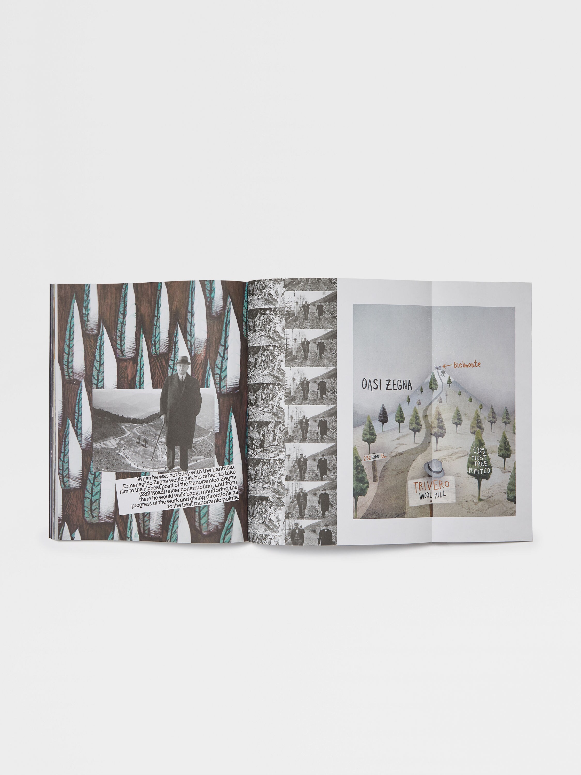 BORN IN OASI ZEGNA Product detail photo #3