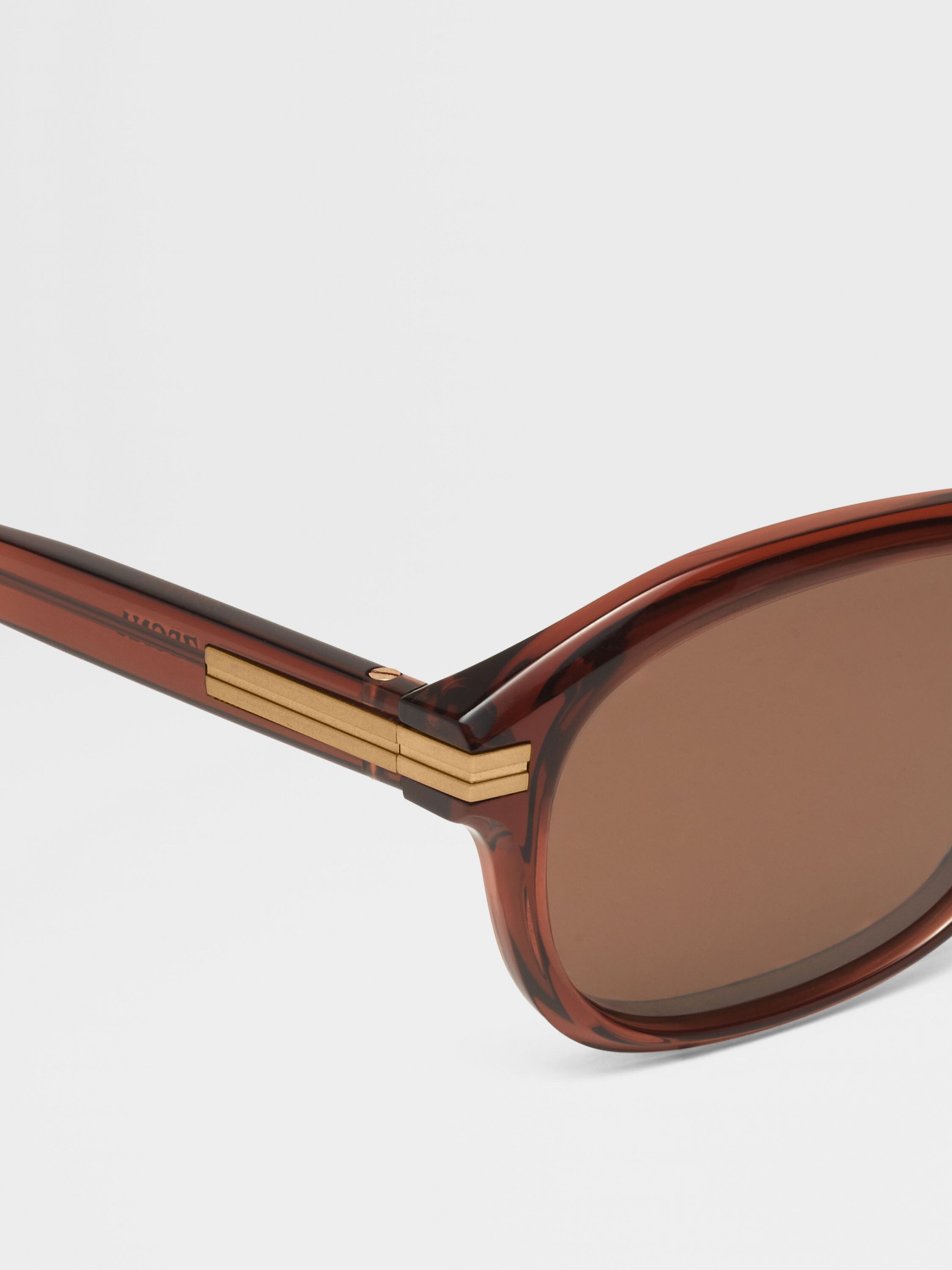 Transparent Foliage Acetate Sunglasses Product detail photo #1