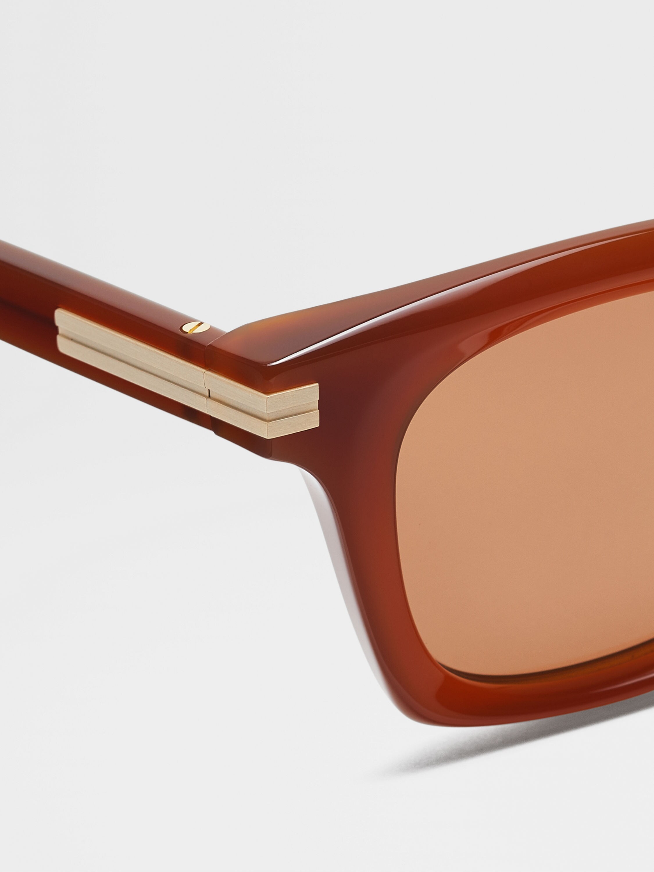 Dark Foliage Acetate Sunglasses Product detail photo #1