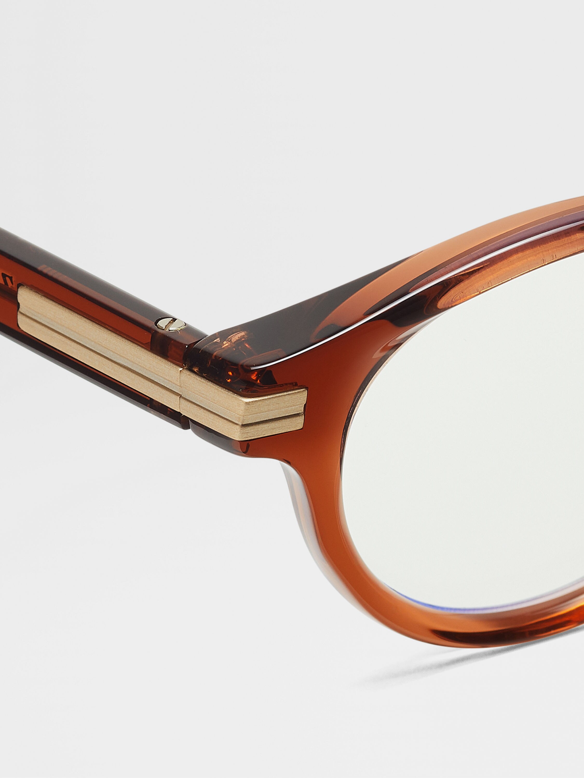 Transparent Dark Foliage Acetate Sunglasses Product detail photo #1