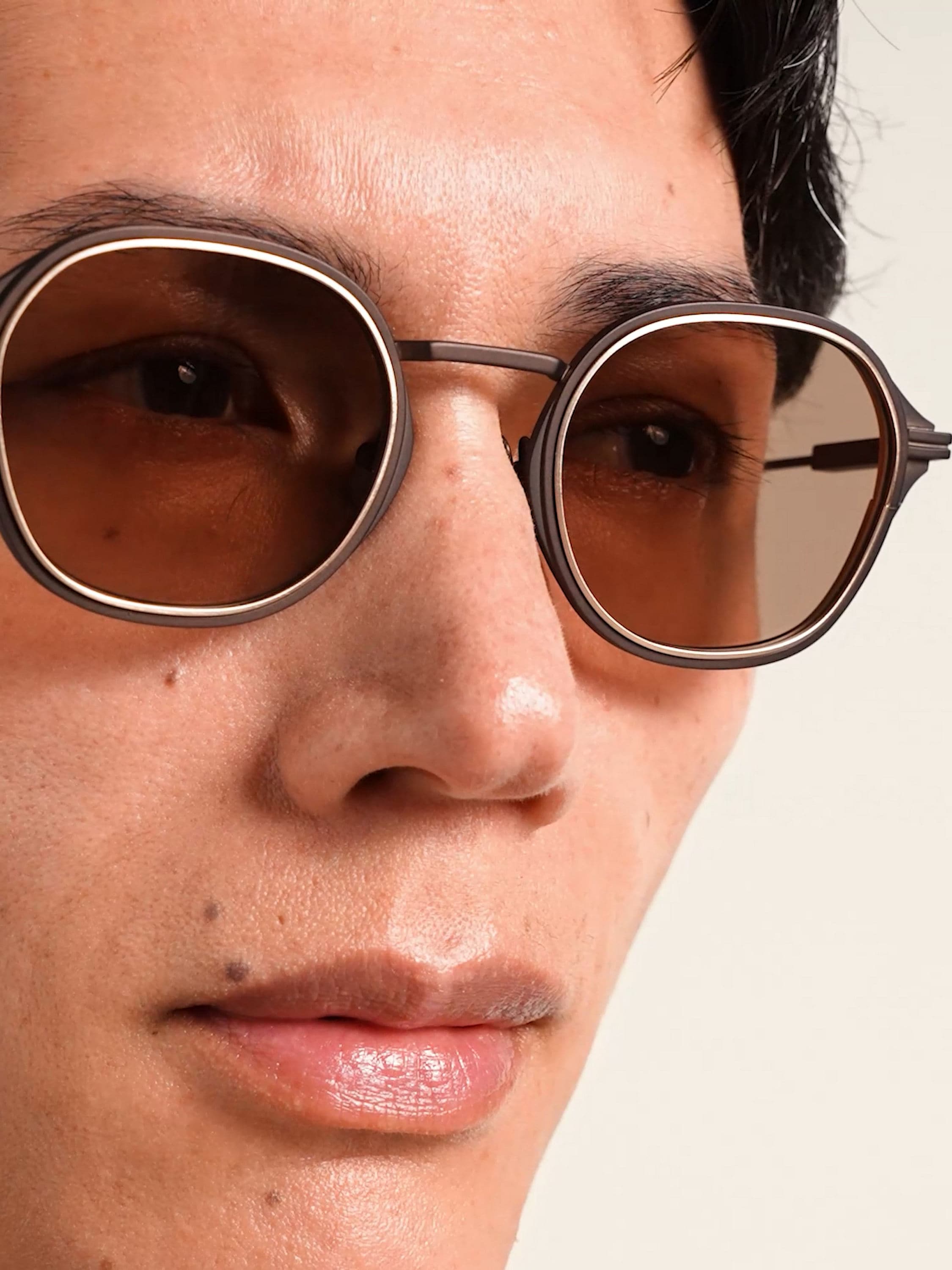 Dark Brown Titanium Sunglasses