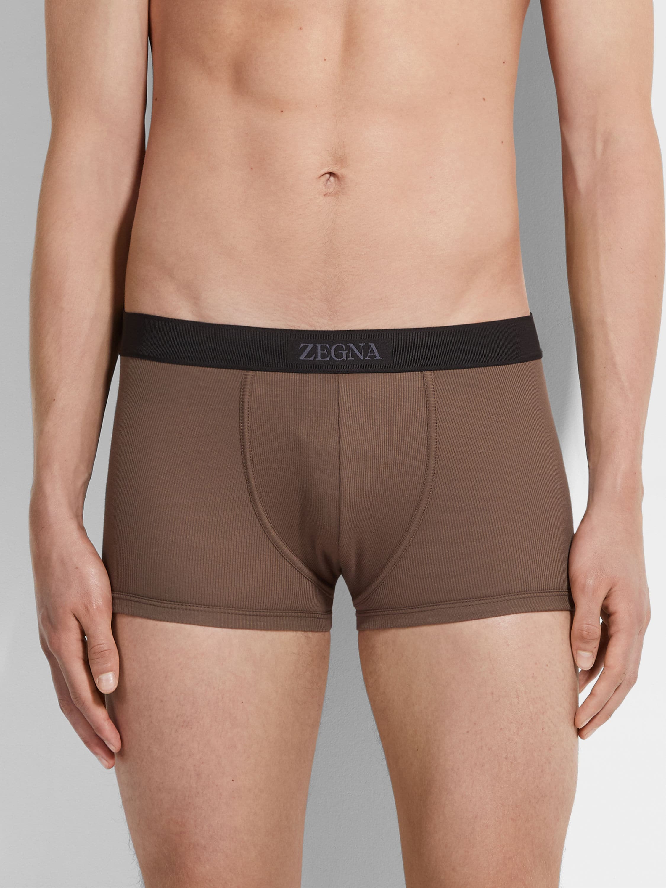 Brown Cotton and Modal Trunks Product detail photo #1