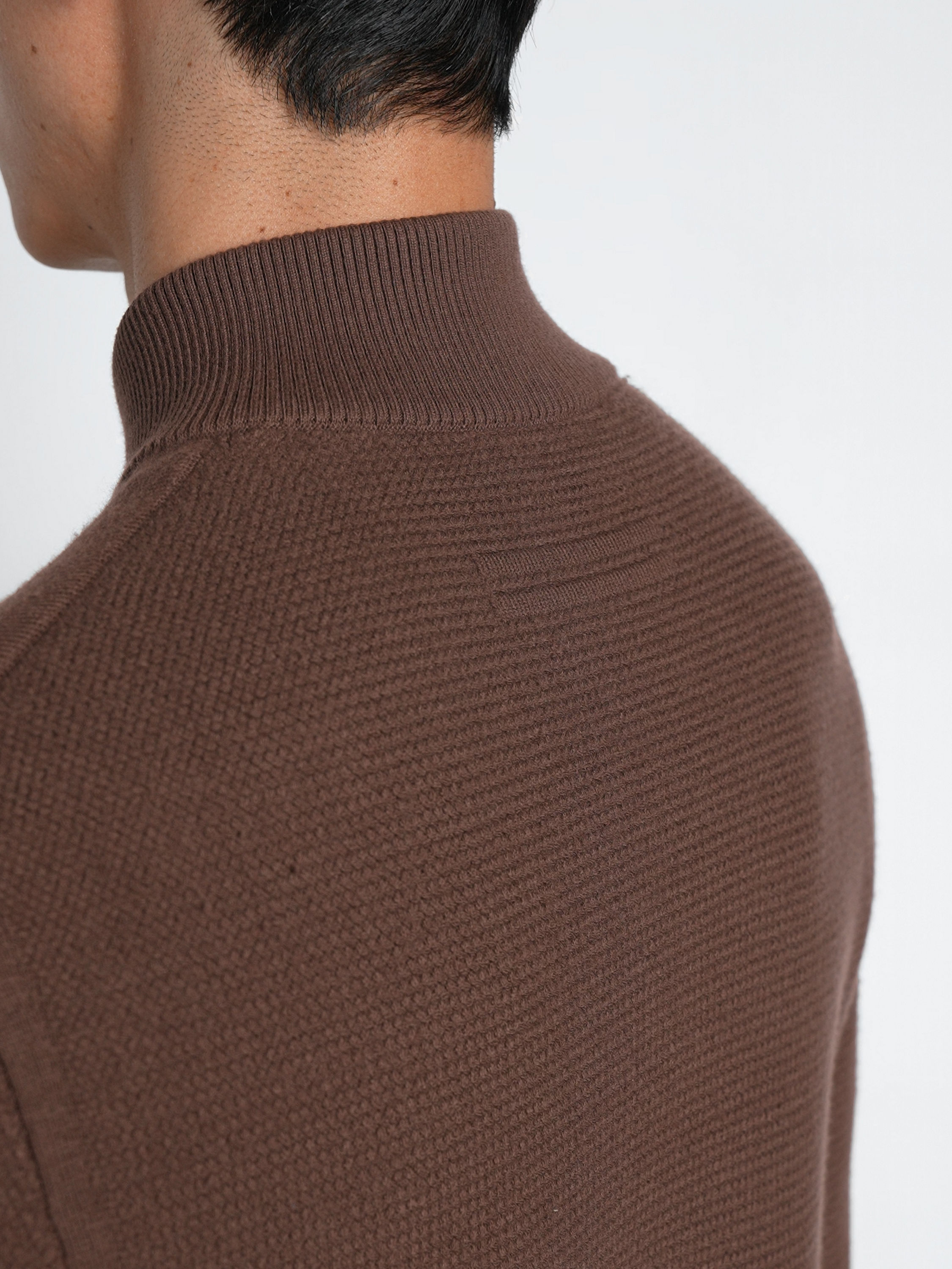 Brown Vellus Aureum Zip Mock Neck