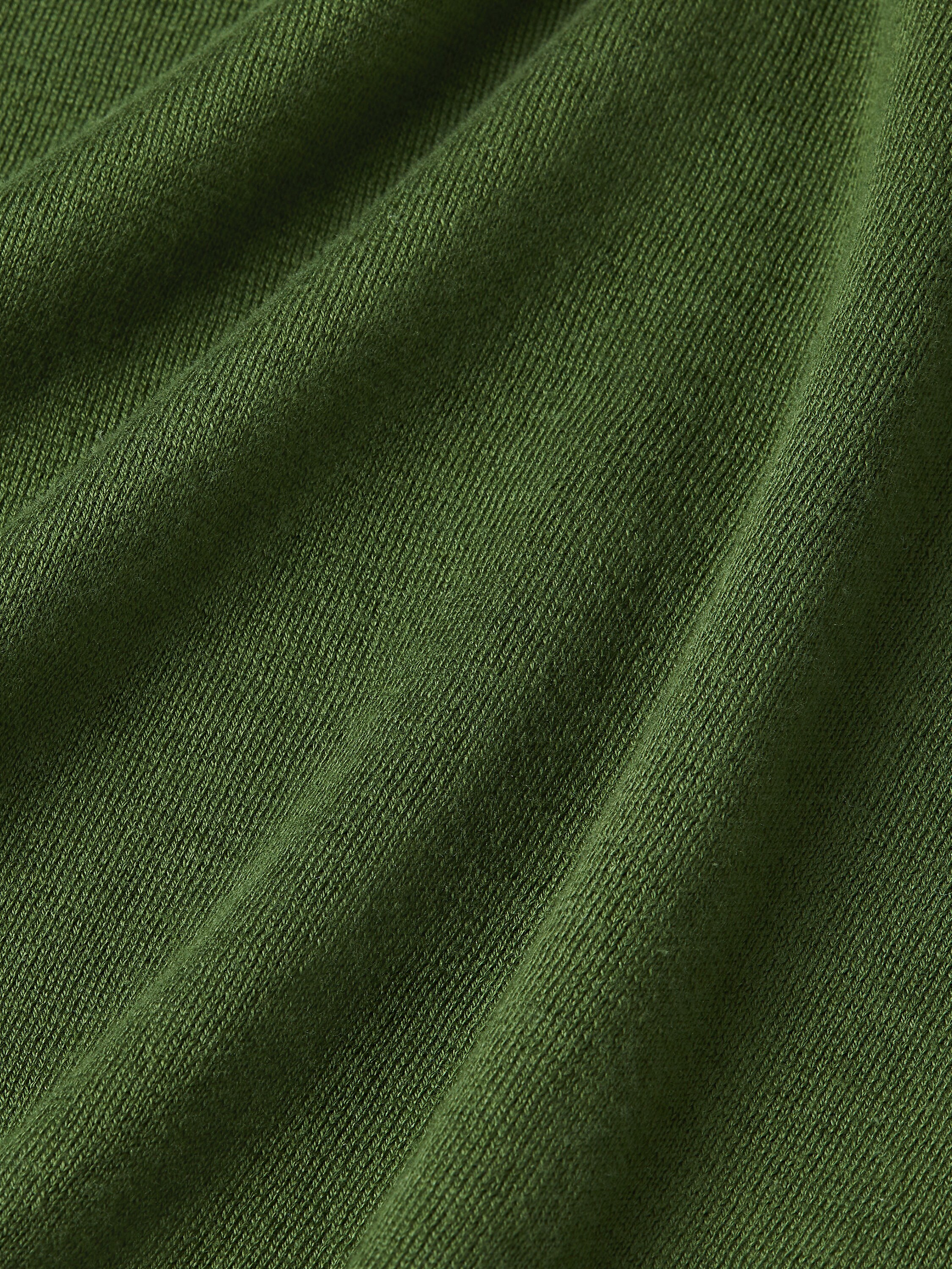 Pine Green Premium Cotton T-shirt Product detail photo #3