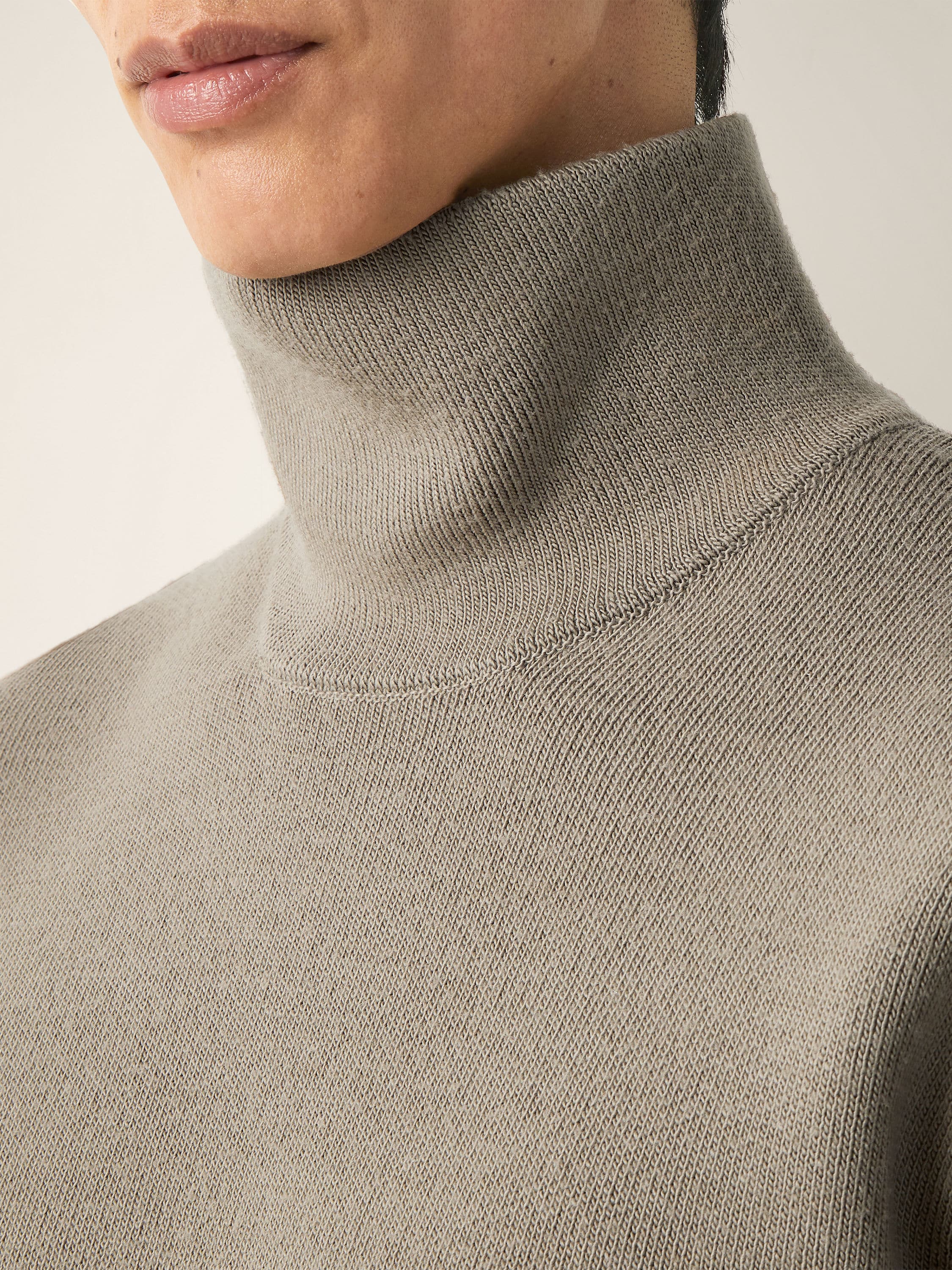 Taupe Wool and Canapa Yarn Turtleneck Product detail photo #1